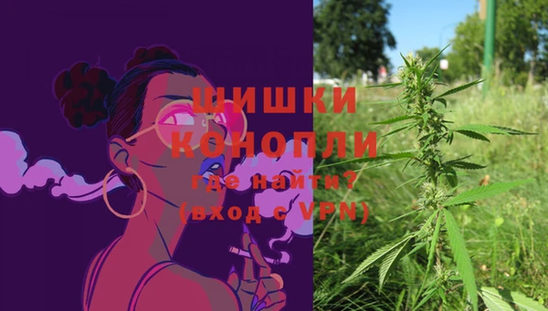 дживик Богородск