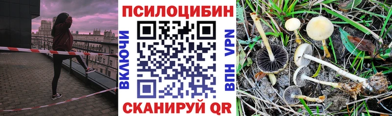 mega ссылки  shop наркотические препараты  Псилоцибиновые грибы Psilocybine cubensis  Канаш 
