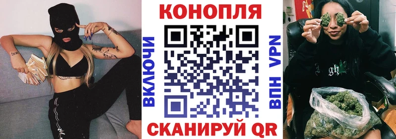 купить   Канаш  Марихуана конопля 